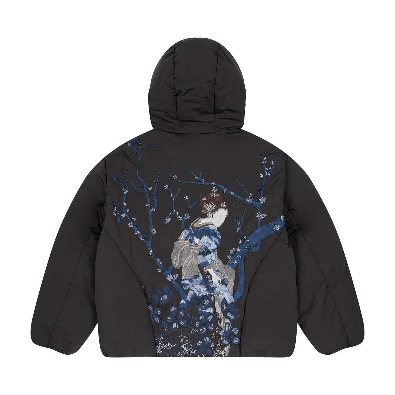 Куртка Aurora Borealis Anorak